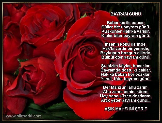 bayram7