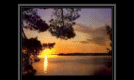 �iir defterinden..