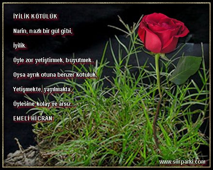 iyilik.jpg