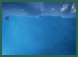 Sesli - 2.8 Mb.