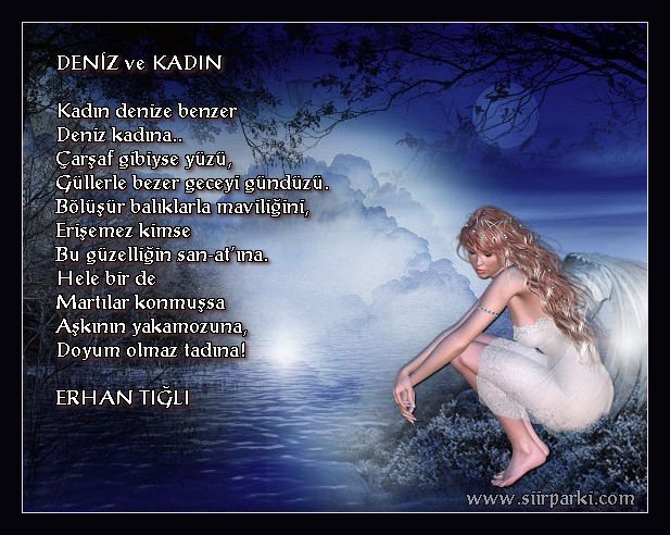 Resimli �iirler